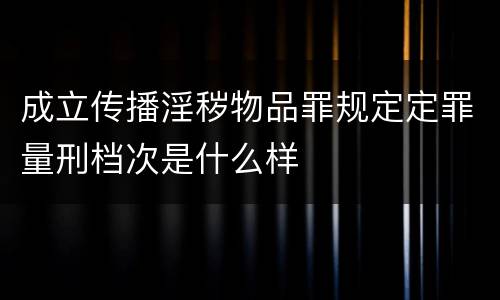 成立传播淫秽物品罪规定定罪量刑档次是什么样