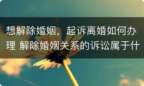 想解除婚姻，起诉离婚如何办理 解除婚姻关系的诉讼属于什么诉讼