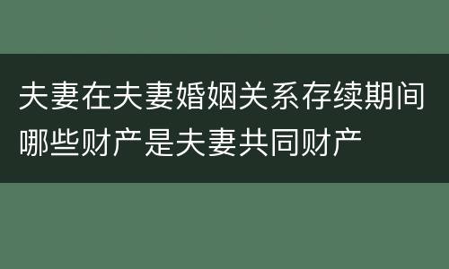 夫妻在夫妻婚姻关系存续期间哪些财产是夫妻共同财产