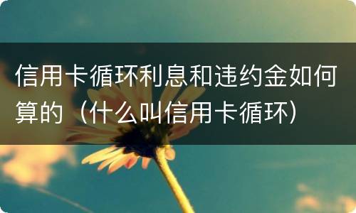 信用卡循环利息和违约金如何算的（什么叫信用卡循环）
