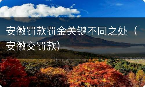 安徽罚款罚金关键不同之处（安徽交罚款）