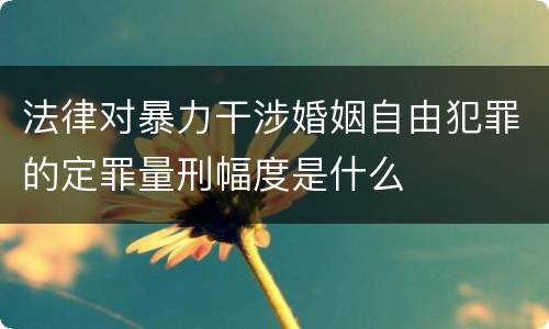 法律对暴力干涉婚姻自由犯罪的定罪量刑幅度是什么