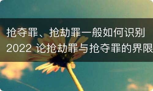 抢夺罪、抢劫罪一般如何识别2022 论抢劫罪与抢夺罪的界限