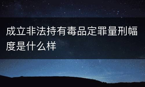 成立非法持有毒品定罪量刑幅度是什么样