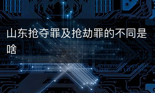 山东抢夺罪及抢劫罪的不同是啥