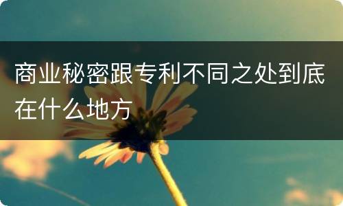 商业秘密跟专利不同之处到底在什么地方