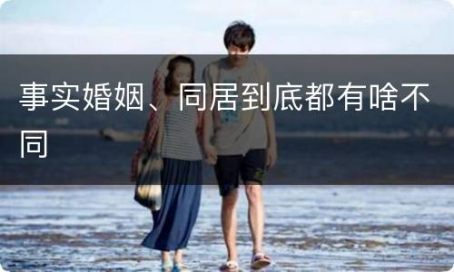 事实婚姻、同居到底都有啥不同