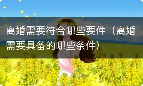 离婚需要符合哪些要件（离婚需要具备的哪些条件）
