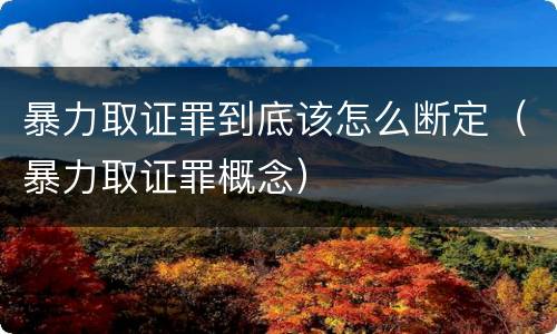 暴力取证罪到底该怎么断定（暴力取证罪概念）
