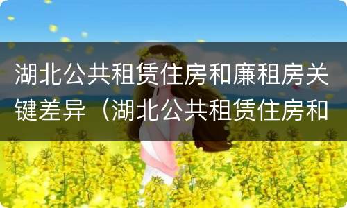 湖北公共租赁住房和廉租房关键差异（湖北公共租赁住房和廉租房关键差异是什么）