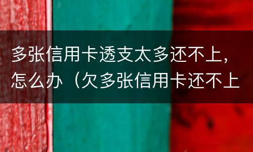 多张信用卡透支太多还不上，怎么办（欠多张信用卡还不上 法院会怎么判）