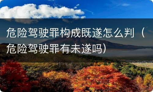 危险驾驶罪构成既遂怎么判（危险驾驶罪有未遂吗）