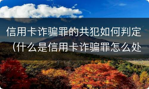 信用卡诈骗罪的共犯如何判定（什么是信用卡诈骗罪怎么处罚）