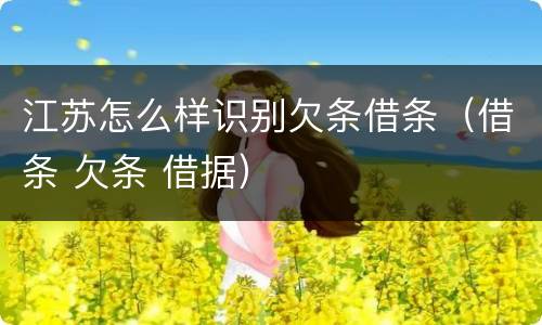 江苏怎么样识别欠条借条（借条 欠条 借据）