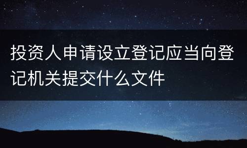 投资人申请设立登记应当向登记机关提交什么文件