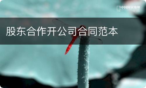 股东合作开公司合同范本