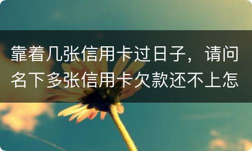 靠着几张信用卡过日子，请问名下多张信用卡欠款还不上怎么办