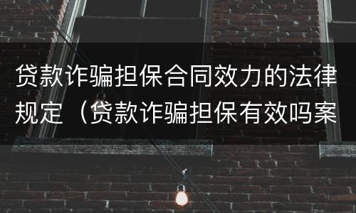 贷款诈骗担保合同效力的法律规定（贷款诈骗担保有效吗案例）