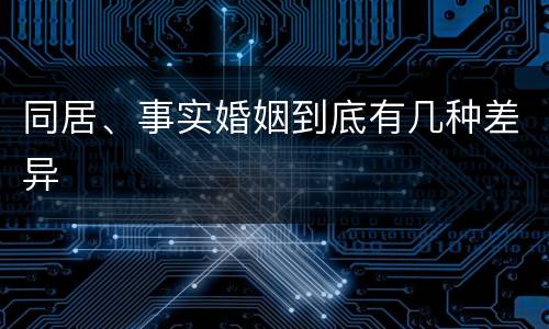 同居、事实婚姻到底有几种差异
