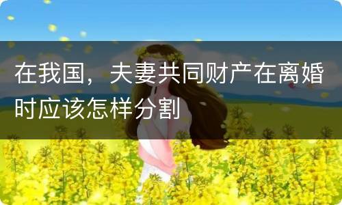 在我国，夫妻共同财产在离婚时应该怎样分割