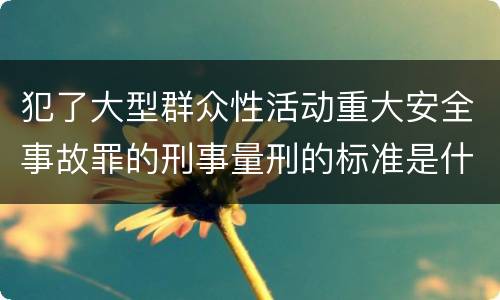犯了大型群众性活动重大安全事故罪的刑事量刑的标准是什么
