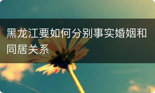 黑龙江要如何分别事实婚姻和同居关系