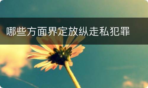 哪些方面界定放纵走私犯罪