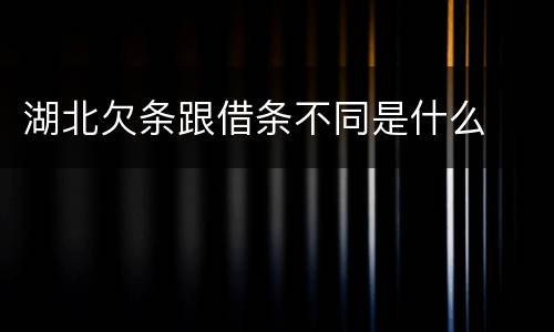湖北欠条跟借条不同是什么