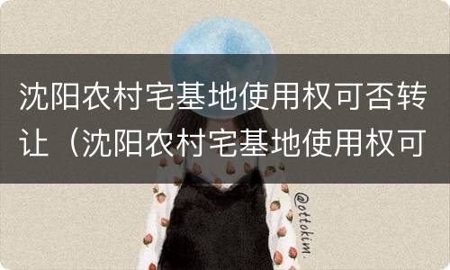 沈阳农村宅基地使用权可否转让（沈阳农村宅基地使用权可否转让给子女）
