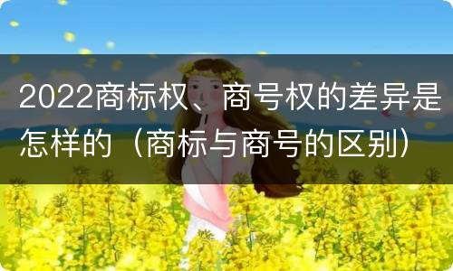 2022商标权、商号权的差异是怎样的（商标与商号的区别）