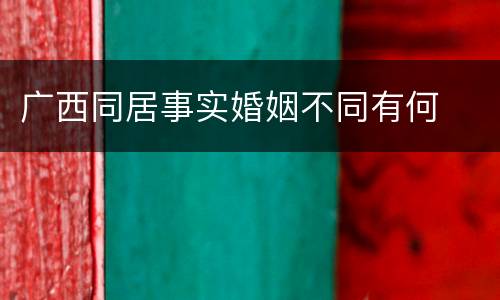 广西同居事实婚姻不同有何