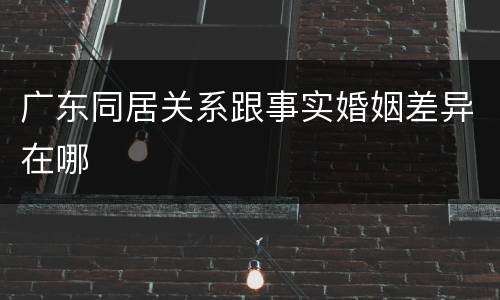 广东同居关系跟事实婚姻差异在哪