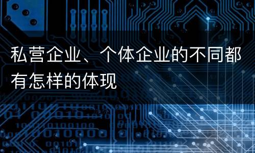 私营企业、个体企业的不同都有怎样的体现