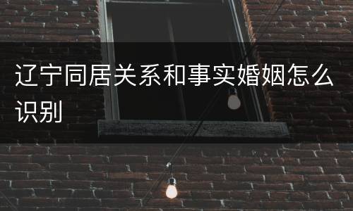 辽宁同居关系和事实婚姻怎么识别