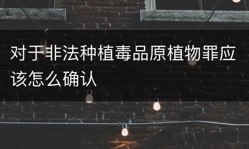 对于非法种植毒品原植物罪应该怎么确认