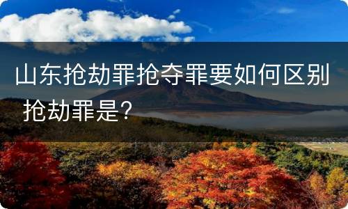 山东抢劫罪抢夺罪要如何区别 抢劫罪是?