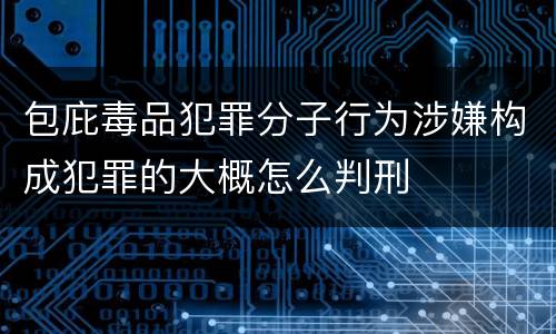 包庇毒品犯罪分子行为涉嫌构成犯罪的大概怎么判刑