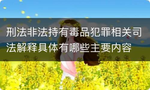 刑法非法持有毒品犯罪相关司法解释具体有哪些主要内容