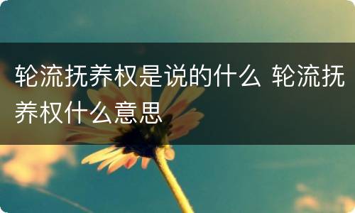 轮流抚养权是说的什么 轮流抚养权什么意思