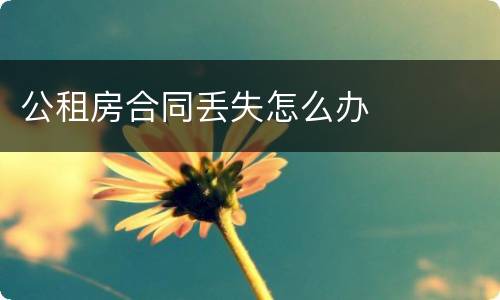 公租房合同丢失怎么办