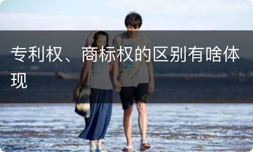 专利权、商标权的区别有啥体现