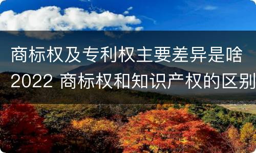 商标权及专利权主要差异是啥2022 商标权和知识产权的区别