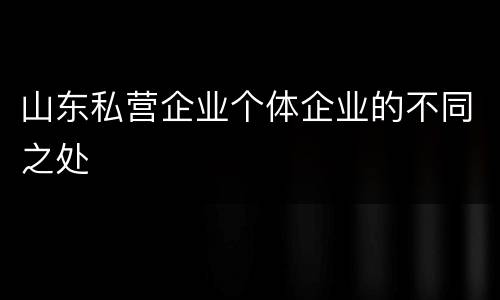山东私营企业个体企业的不同之处