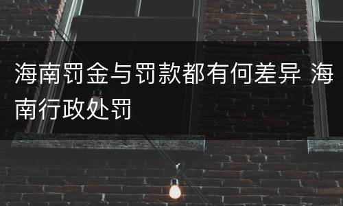 海南罚金与罚款都有何差异 海南行政处罚