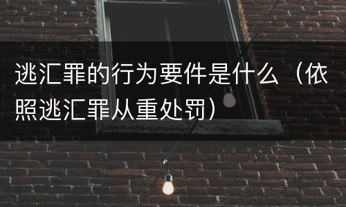 逃汇罪的行为要件是什么（依照逃汇罪从重处罚）