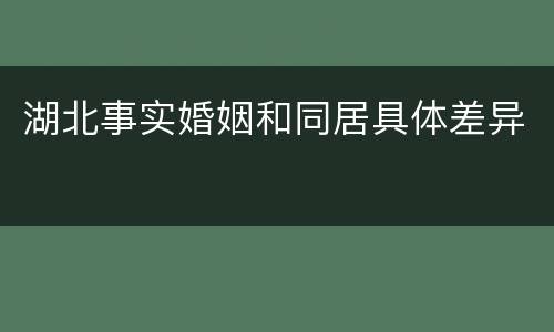 湖北事实婚姻和同居具体差异