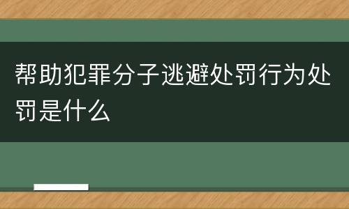 帮助犯罪分子逃避处罚行为处罚是什么