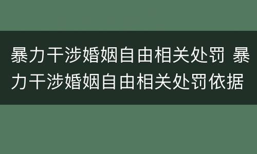 暴力干涉婚姻自由相关处罚 暴力干涉婚姻自由相关处罚依据