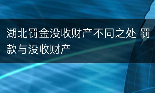 湖北罚金没收财产不同之处 罚款与没收财产 湖北罚金没收财产不同之处 罚款与没收财产