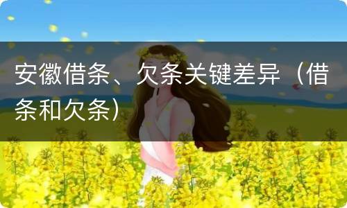安徽借条、欠条关键差异（借条和欠条）